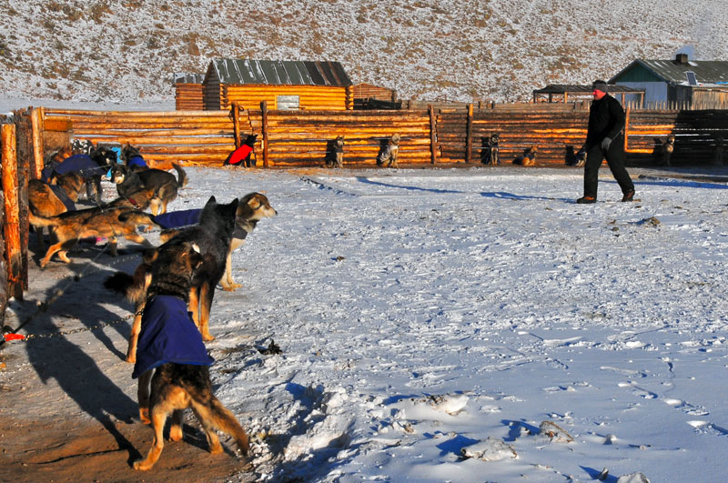 Mongolie